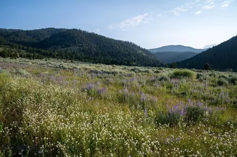 40 Cataract Creek Rd, Basin, MT 59631 photo 7
