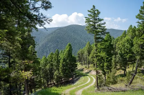 40 Cataract Creek Rd, Basin, MT 59631 photo 51