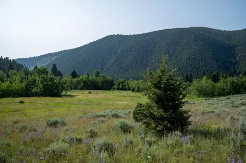 40 Cataract Creek Rd, Basin, MT 59631 photo 23