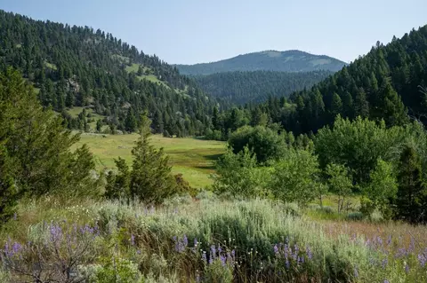 40 Cataract Creek Rd, Basin, MT 59631 photo 24