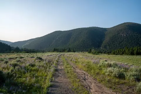 40 Cataract Creek Rd, Basin, MT 59631 photo 6