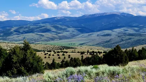Parcel C Mill Gulch Road, Sheridan, MT 59749