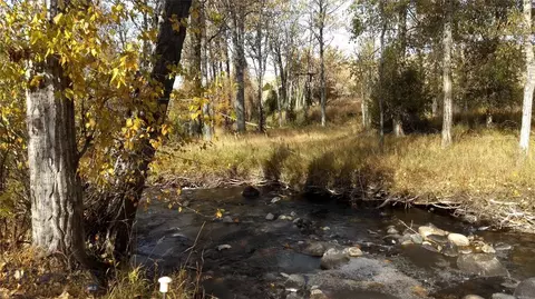 TBD Mill Creek & Toledo Mine Road, Sheridan, MT 59749