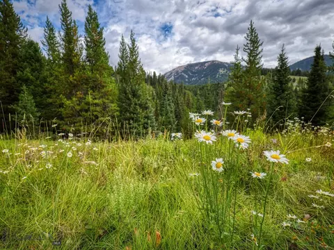 Lot 7 Autumn Trail, Big Sky, MT 59716