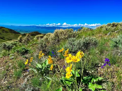 NHN Soap Gulch Road, Melrose, MT 59743