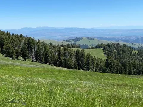Alice Indian Creek Road, Townsend, MT 59644