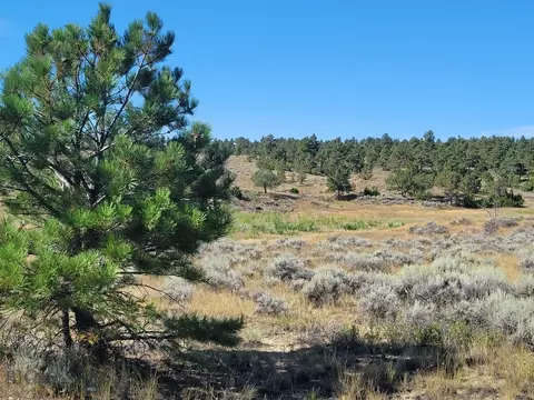 CR-42 Stonehouse Road, Shepherd, MT 59079