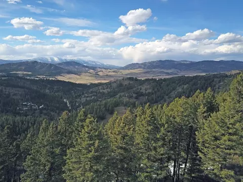 1155 Colt Dr, Bozeman, MT 59715