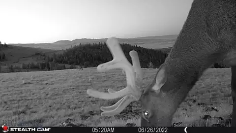 10840 Indian Creek Rd, Townsend, MT 59644