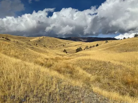 Nhn Freedom Trail, Belfry, MT 59008
