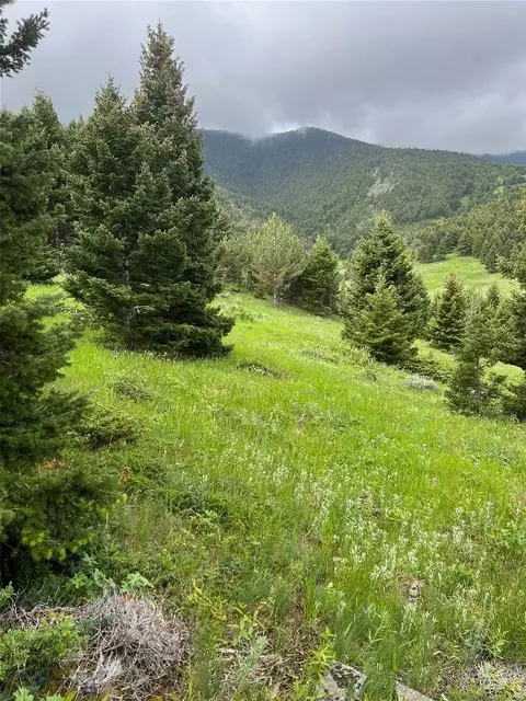 Tbd Rocky Top Pass, Livingston, MT 59047