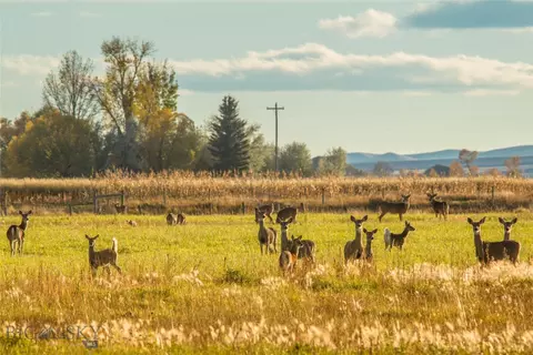 lot11 Dancing Winds Rd, Dillon, MT 59725 photo 19