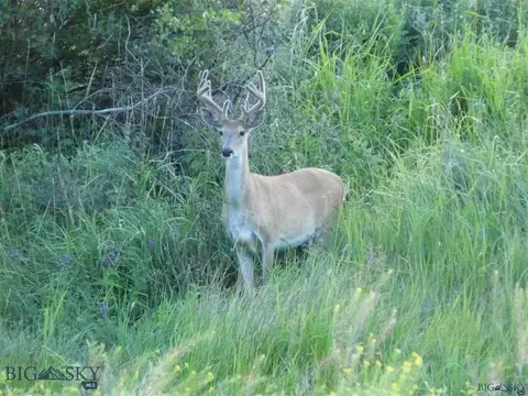 Nkn Madison Road, Three Forks, MT 59752