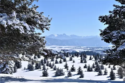 466 Longhorn Rd, Bozeman, MT 59715