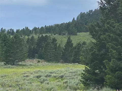 9 9b Shining Mtns UNIT 3, Ennis, MT 59729