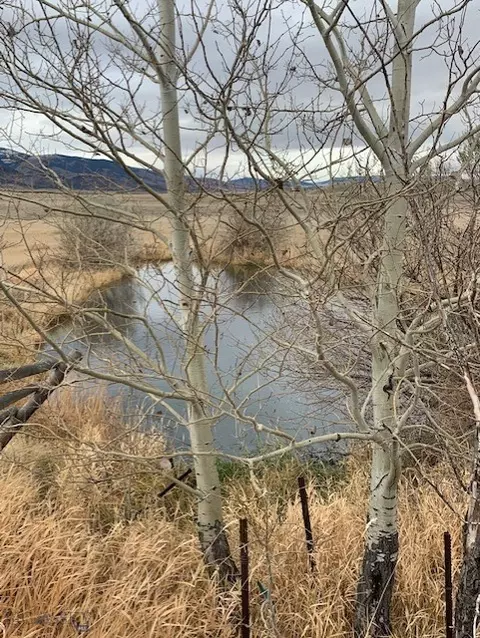 1178 E River Rd, Pray, MT 59065 photo 23