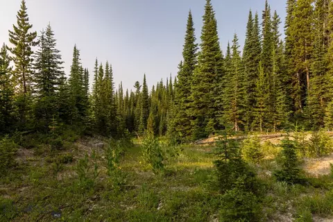 22 Ridgeview Loop, Big Sky, MT 59716 photo 50