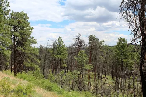 tbd deer lane, Roundup, MT 59072