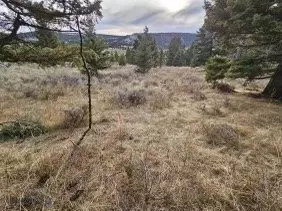 tbd 1 Castletown Rd, Martinsdale, MT 59053
