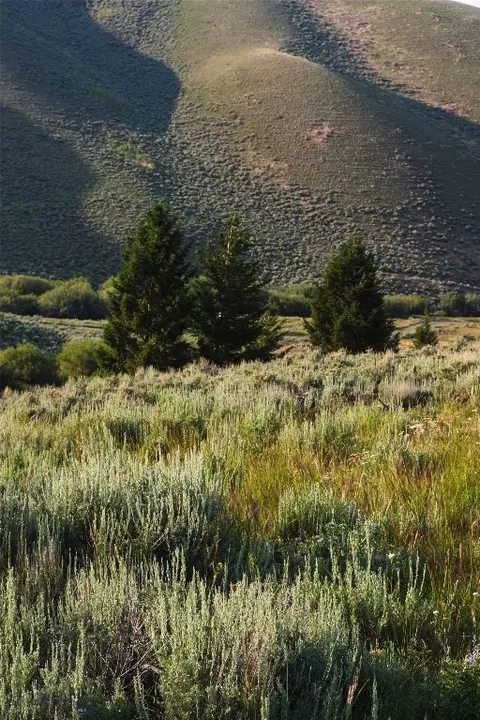 31420 Hwy 324, Dillon, MT 59725 photo 19