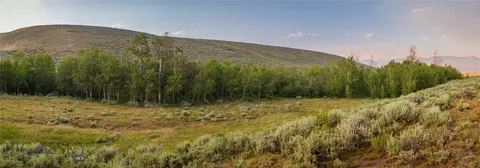 31420 Hwy 324, Dillon, MT 59725 photo 8