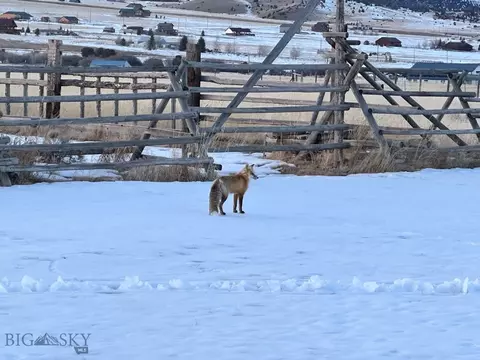 Other - 283 Hayfield Loop Trl, Ennis, MT 59729 photo 40 of 41