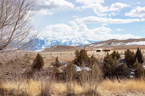Other - 283 Hayfield Loop Trl, Ennis, MT 59729 photo 39 of 41