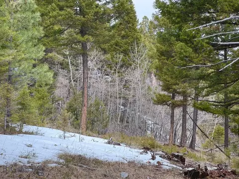 7517 Skelly Gulch Rd, Helena, MT 59602