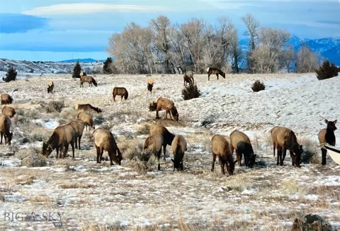 Other - 494 E River Rd, Pray, MT 59065 photo 21 of 31
