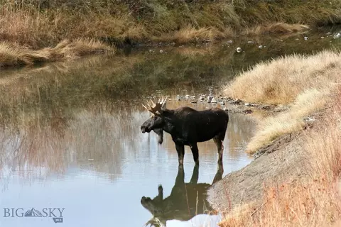 Other - 494 E River Rd, Pray, MT 59065 photo 18 of 31