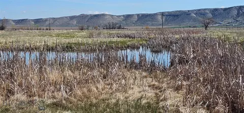 5250 Madison Rd, Three Forks, MT 59752 photo 30