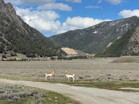4 Hook And Horn Road # a, Cameron, MT 59720
