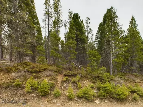 Tbd Tow Chain Trail, Wolf Creek, MT 59648