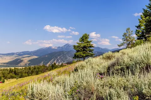 tbd Box Canyon Rd, Livingston, MT 59047