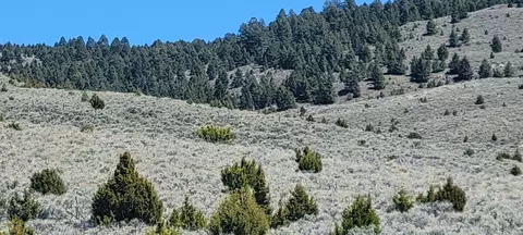 Tract 1c-5 Meagher Trail, Virginia City, MT 59729