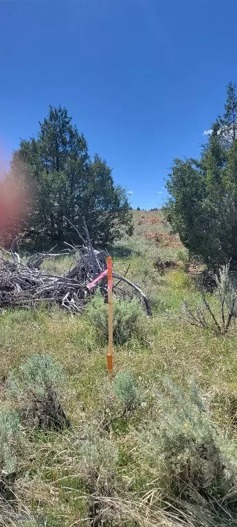 Undisclosed, Alder, MT 59710 photo 31