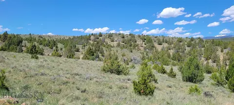 Undisclosed, Alder, MT 59710 photo 29