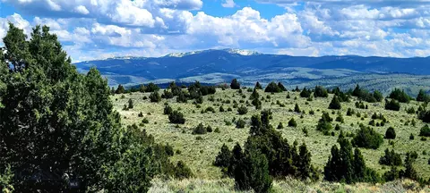 Undisclosed, Alder, MT 59710