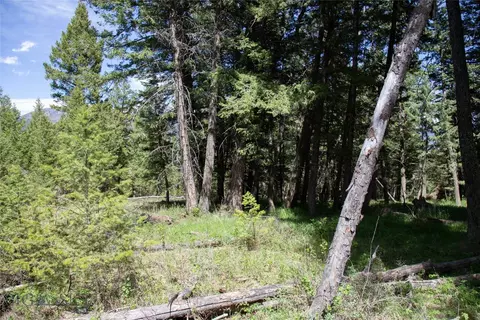 Other - 66 Dutchman Trl, Cameron, MT 59720 photo 24 of 40