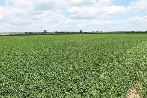 Tbd County Rd 126, Sidney, MT 59270 photo 14