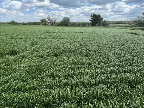 Tbd County Rd 126, Sidney, MT 59270 photo 11