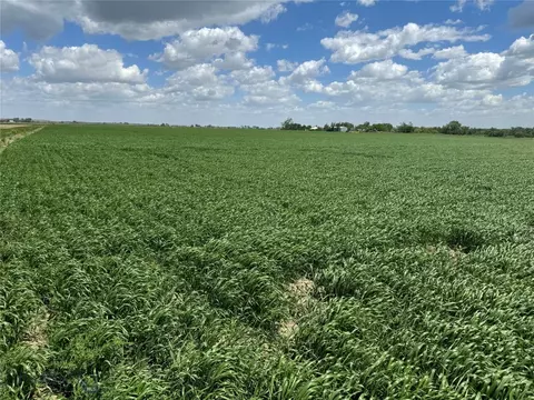 Tbd County Rd 126, Sidney, MT 59270 photo 12