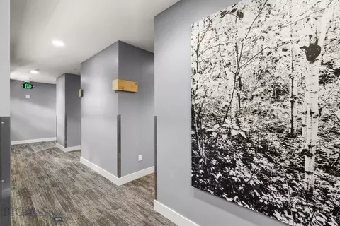 Entry Way - 611 E Peach St #202, Bozeman, MT 59715 photo 2 of 2