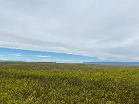 Nhn Antelope Road, Shawmut, MT 59078 photo 6