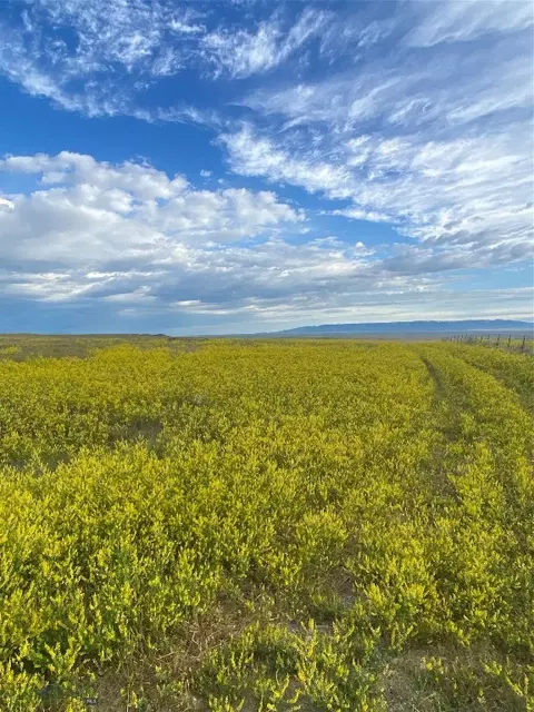 Nhn Antelope Road, Shawmut, MT 59078 photo 5