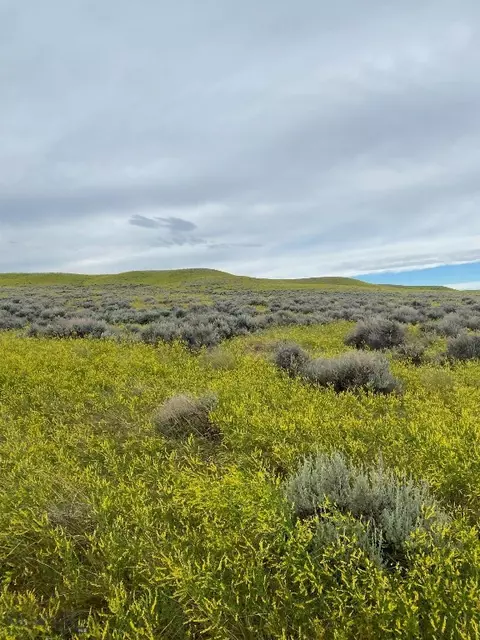 Nhn Antelope Road, Shawmut, MT 59078 photo 2