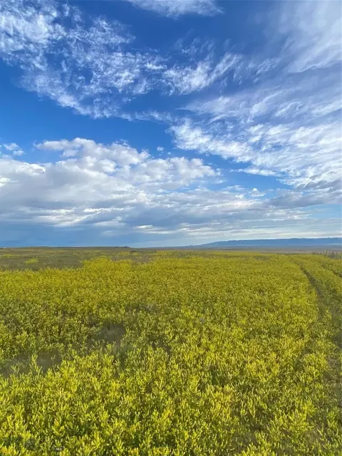 Nhn Antelope Road, Shawmut, MT 59078 photo 4