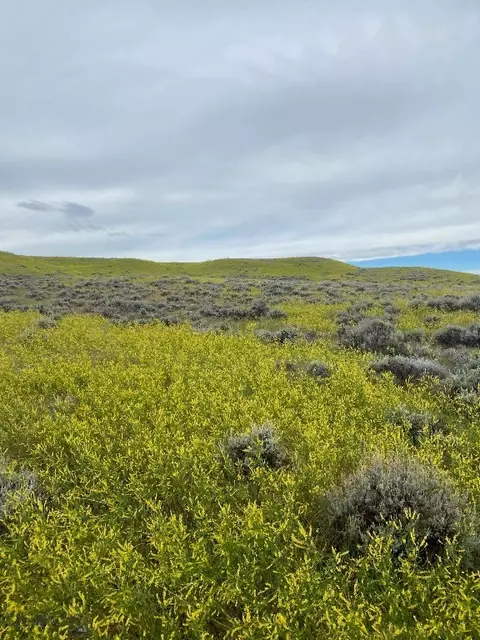 Nhn Antelope Road, Shawmut, MT 59078 photo 7