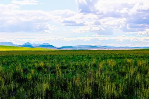 Muddy Creek Ranch, Cascade, MT 59421 photo 39