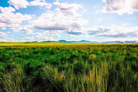 Muddy Creek Ranch, Cascade, MT 59421 photo 40